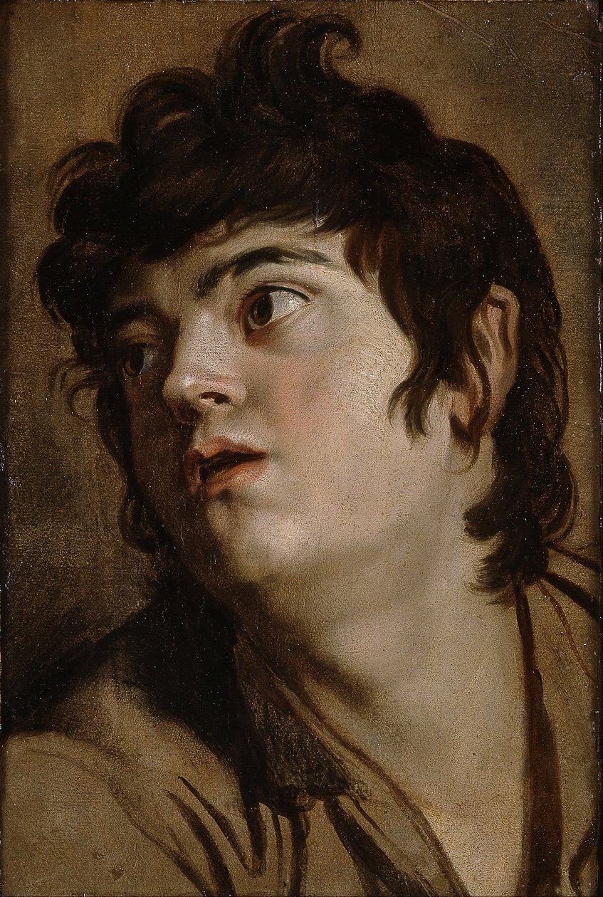 Cabeça de um jovem de Peter Paul Rubens