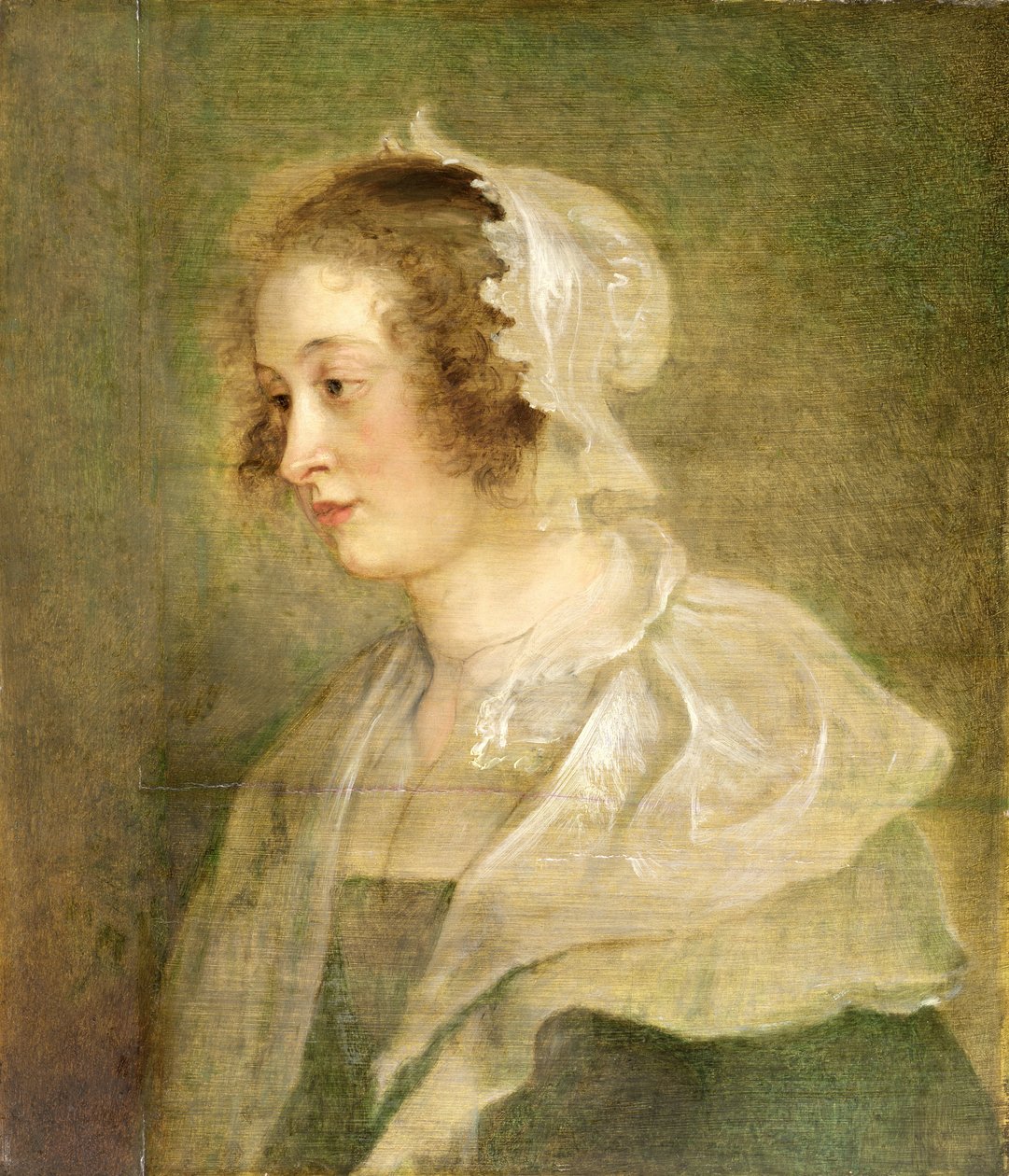 Chefe de uma jovem mulher (painel) de Peter Paul Rubens