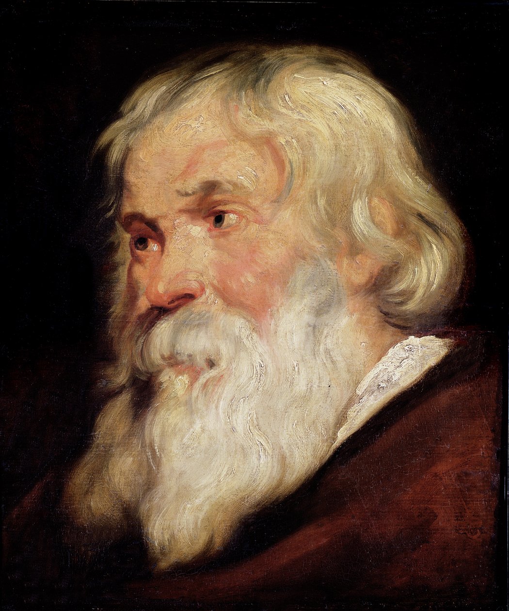 Cabeça de um homem velho de Peter Paul Rubens