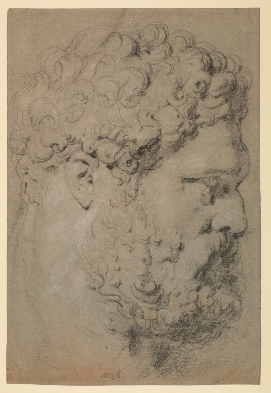 Chefe do Farnese Hercules de Peter Paul Rubens