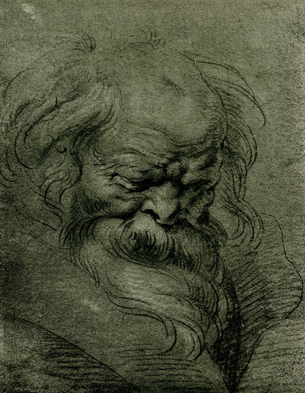 Estudo da cabeça para Baco de Peter Paul Rubens