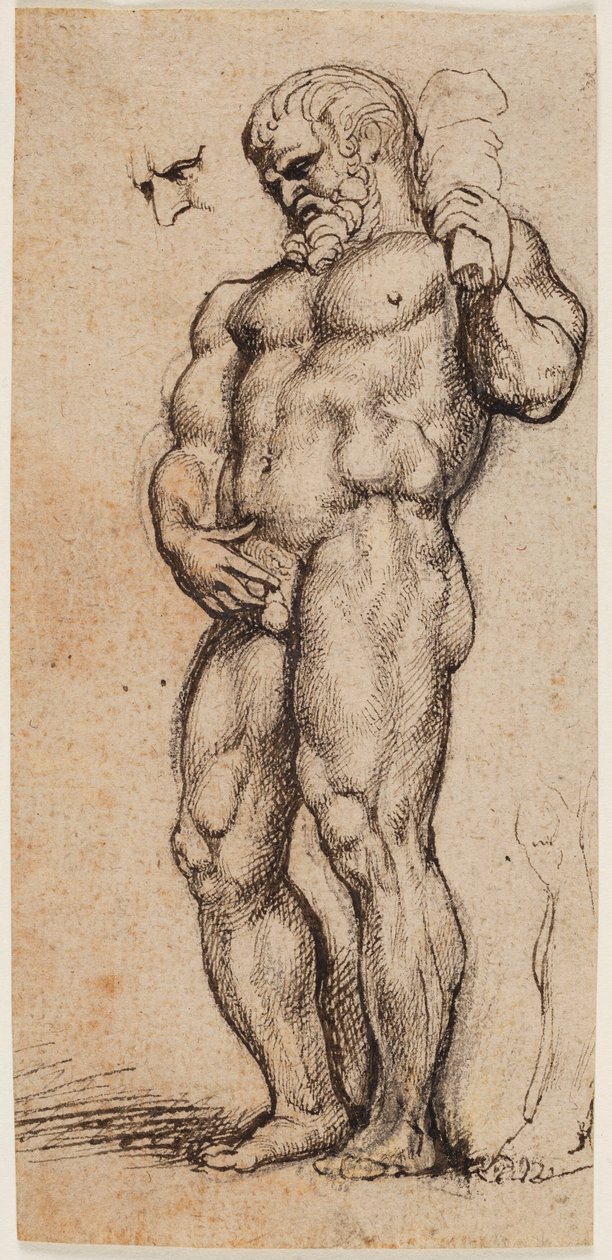 Hércules de Peter Paul Rubens