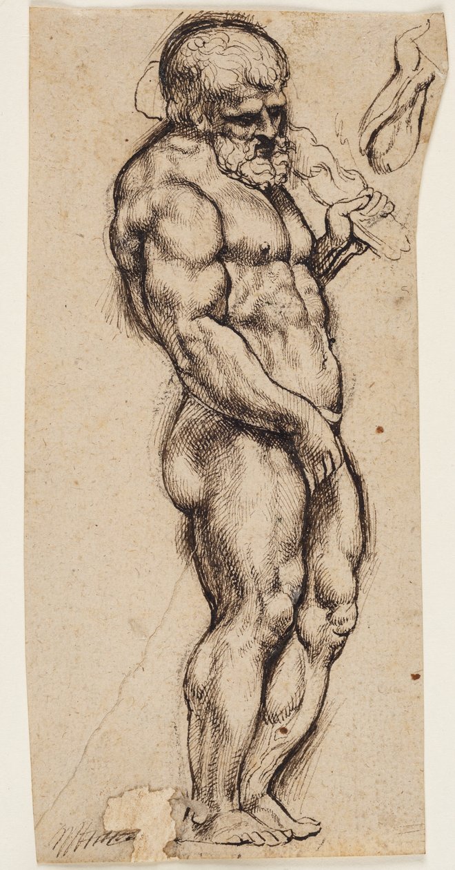 Hercules de Peter Paul Rubens