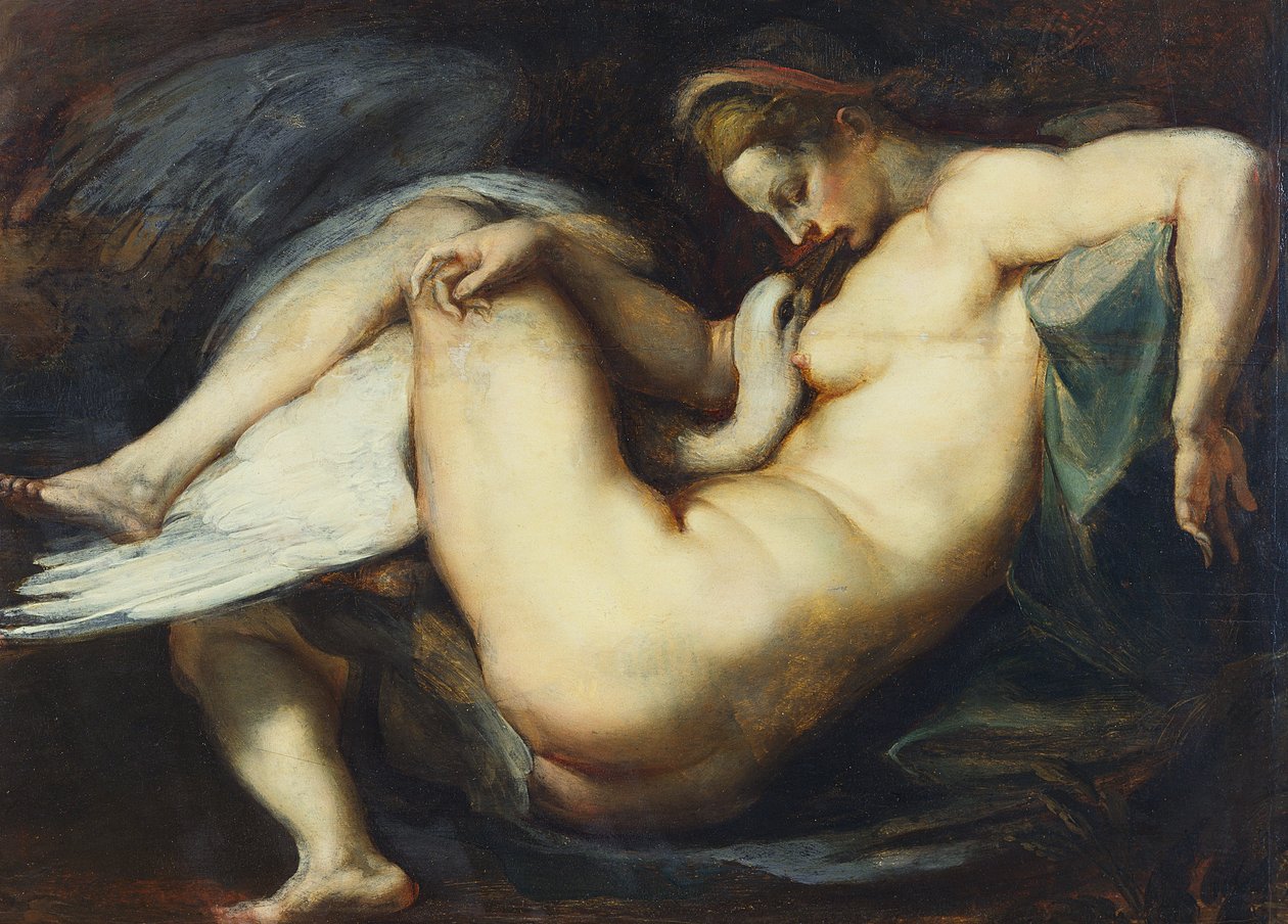 Leda e o Cisne (óleo no painel) de Peter Paul Rubens