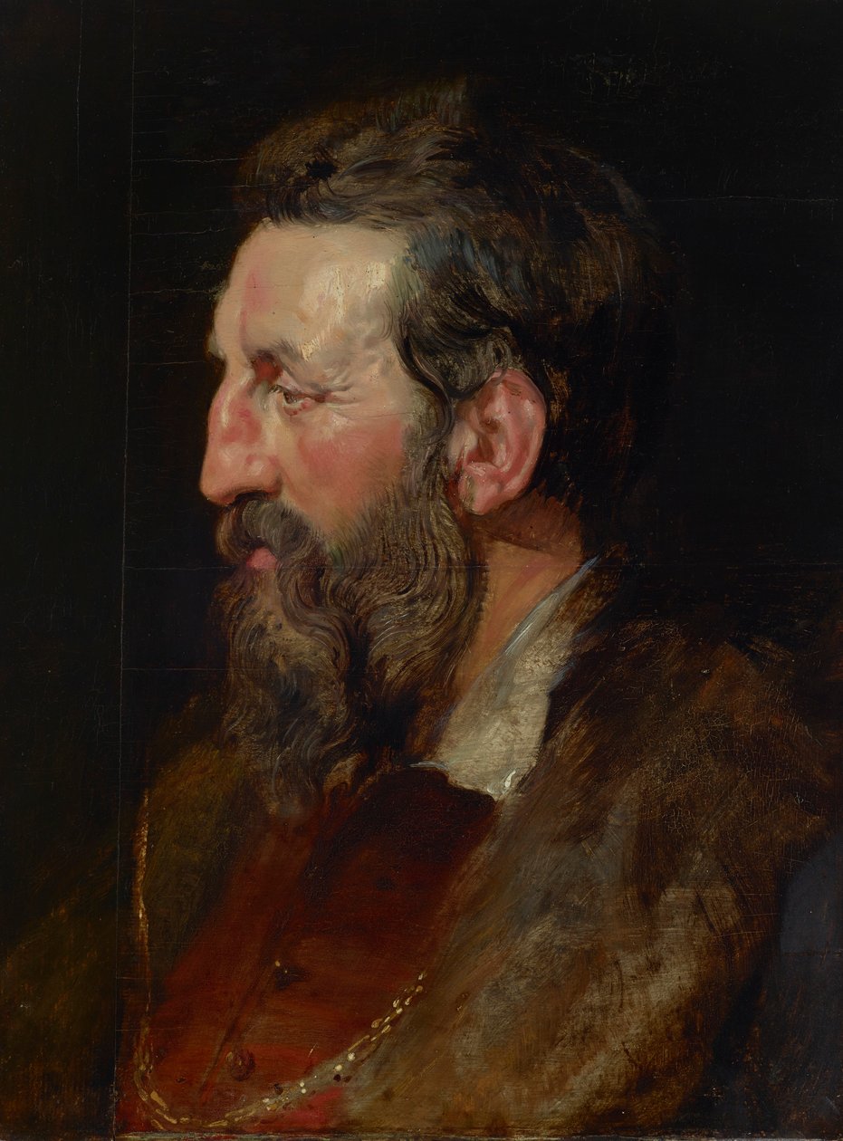 Retrato de um homem de Peter Paul Rubens