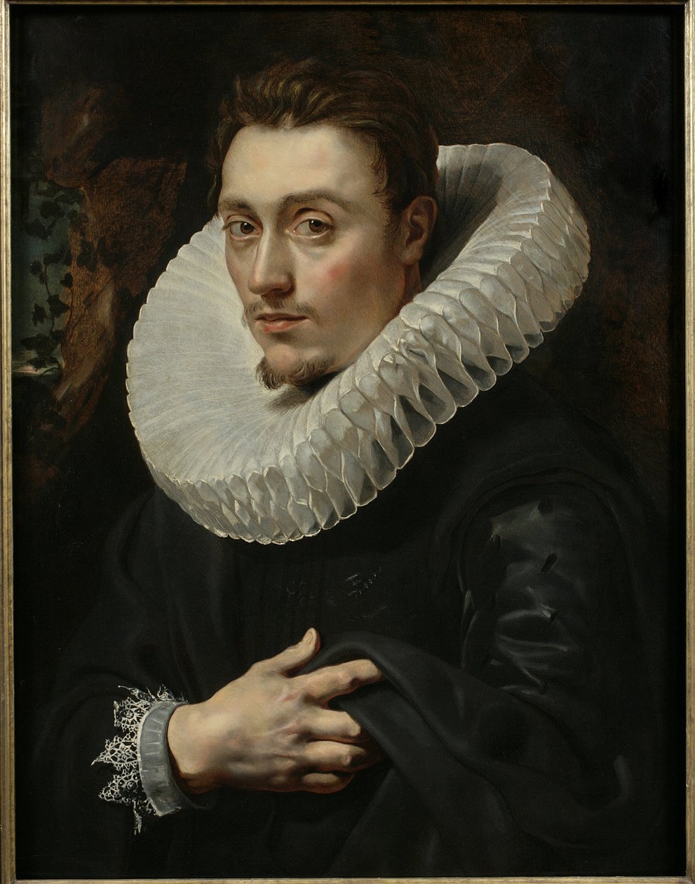 Retrato de um jovem de Peter Paul Rubens