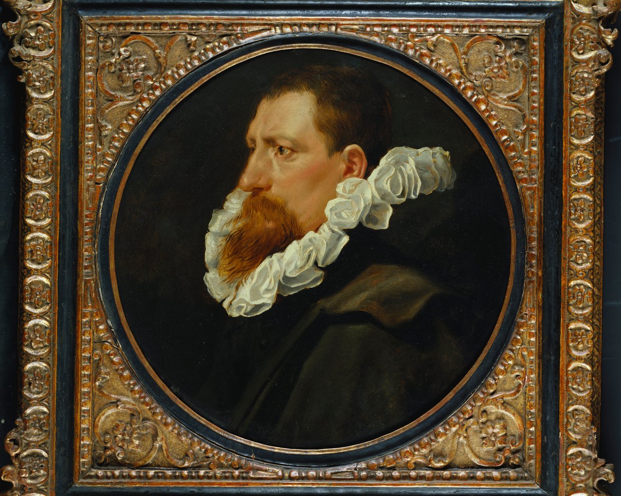 Retrato de um cavalheiro, comprimento do busto pequeno, vestindo um manto branco e cinza de Peter Paul Rubens