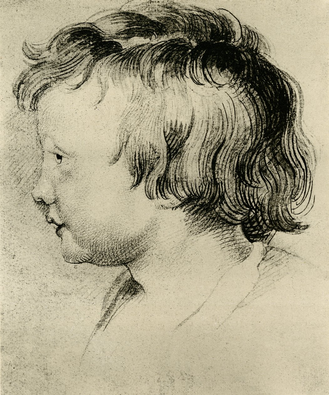 Rubens segundo filho Niklas de Peter Paul Rubens
