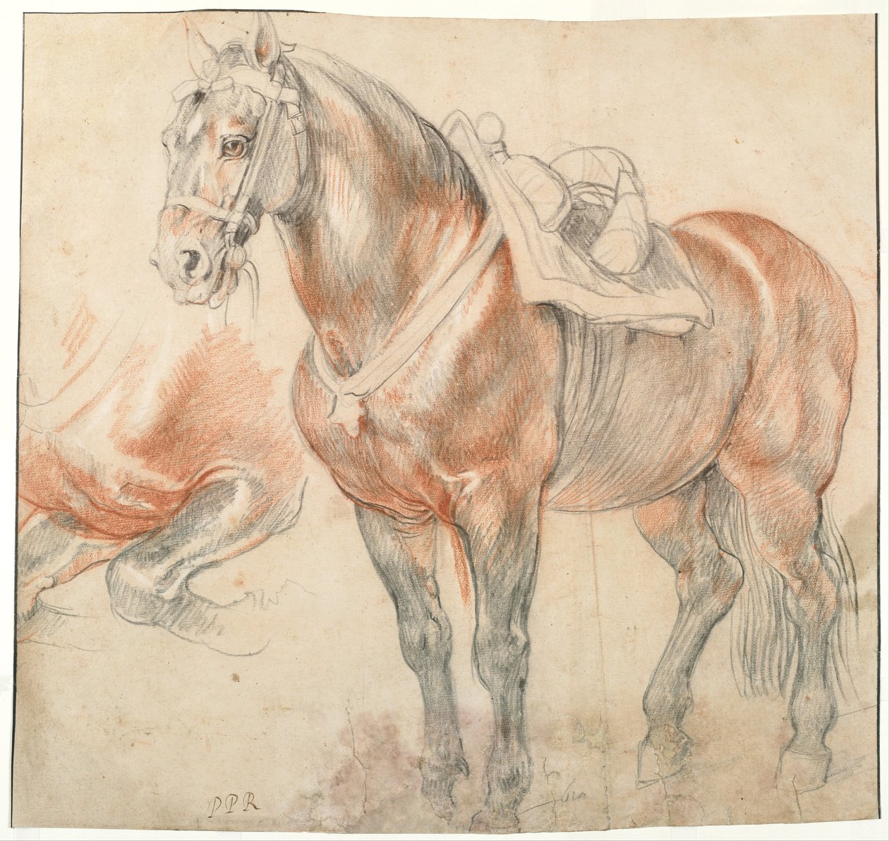 Cavalo selado, c. 1616-1618 de Peter Paul Rubens
