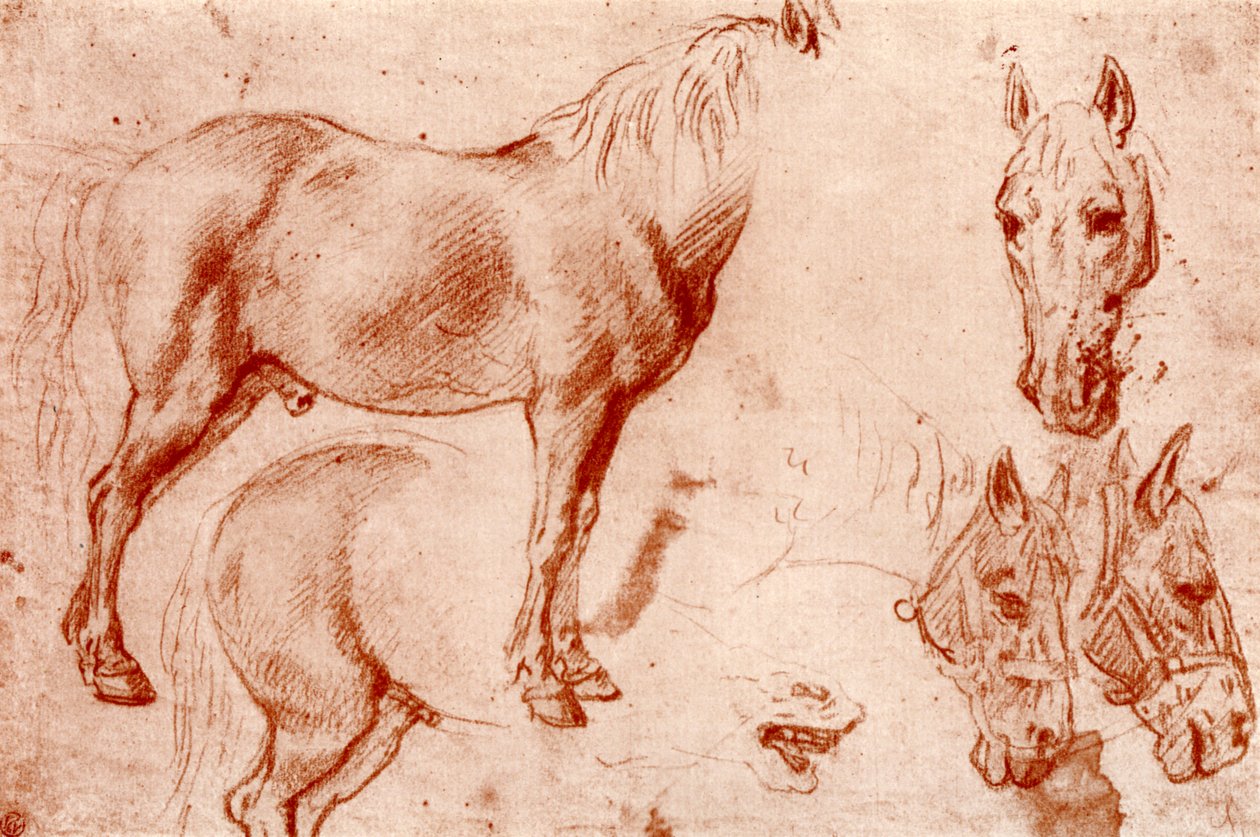 Estudos de Cavalos, 1913. de Peter Paul Rubens
