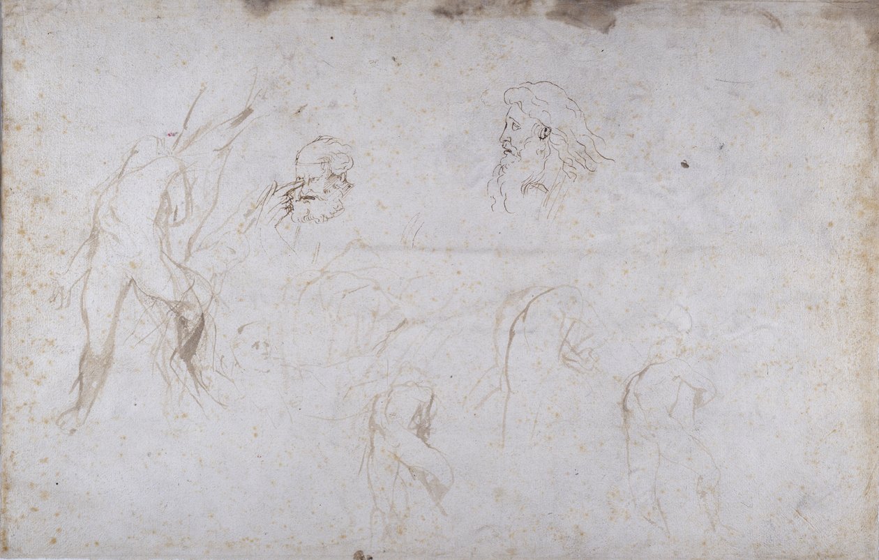 Estudos de uma figura masculina amarrada a uma árvore e de duas cabeças masculinas, c.1601 (caneta e tinta sobre papel) de Peter Paul Rubens