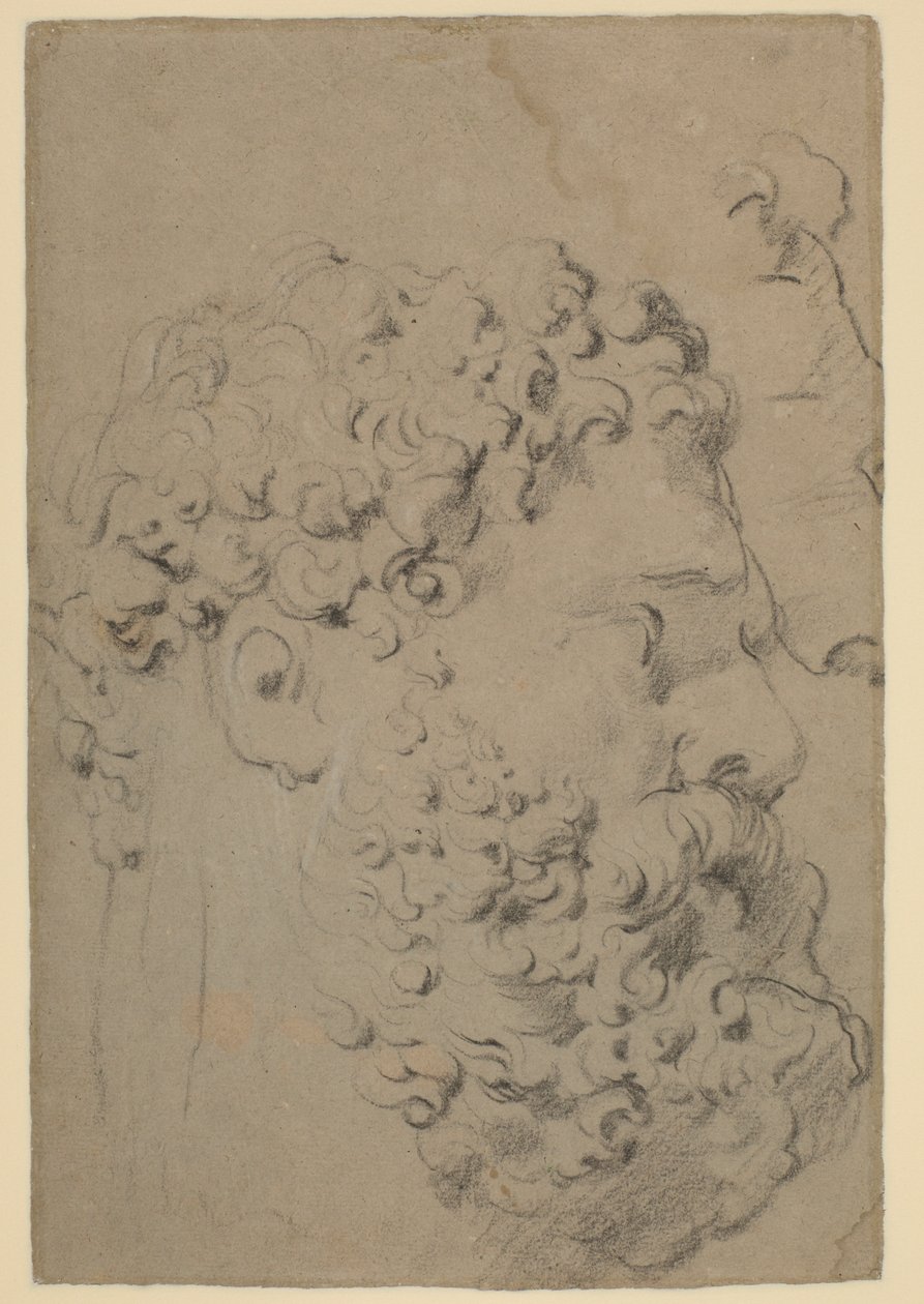 Estudos da cabeça e perfil dos Farnese Hércules vistos de um ponto de vista inferior de Peter Paul Rubens