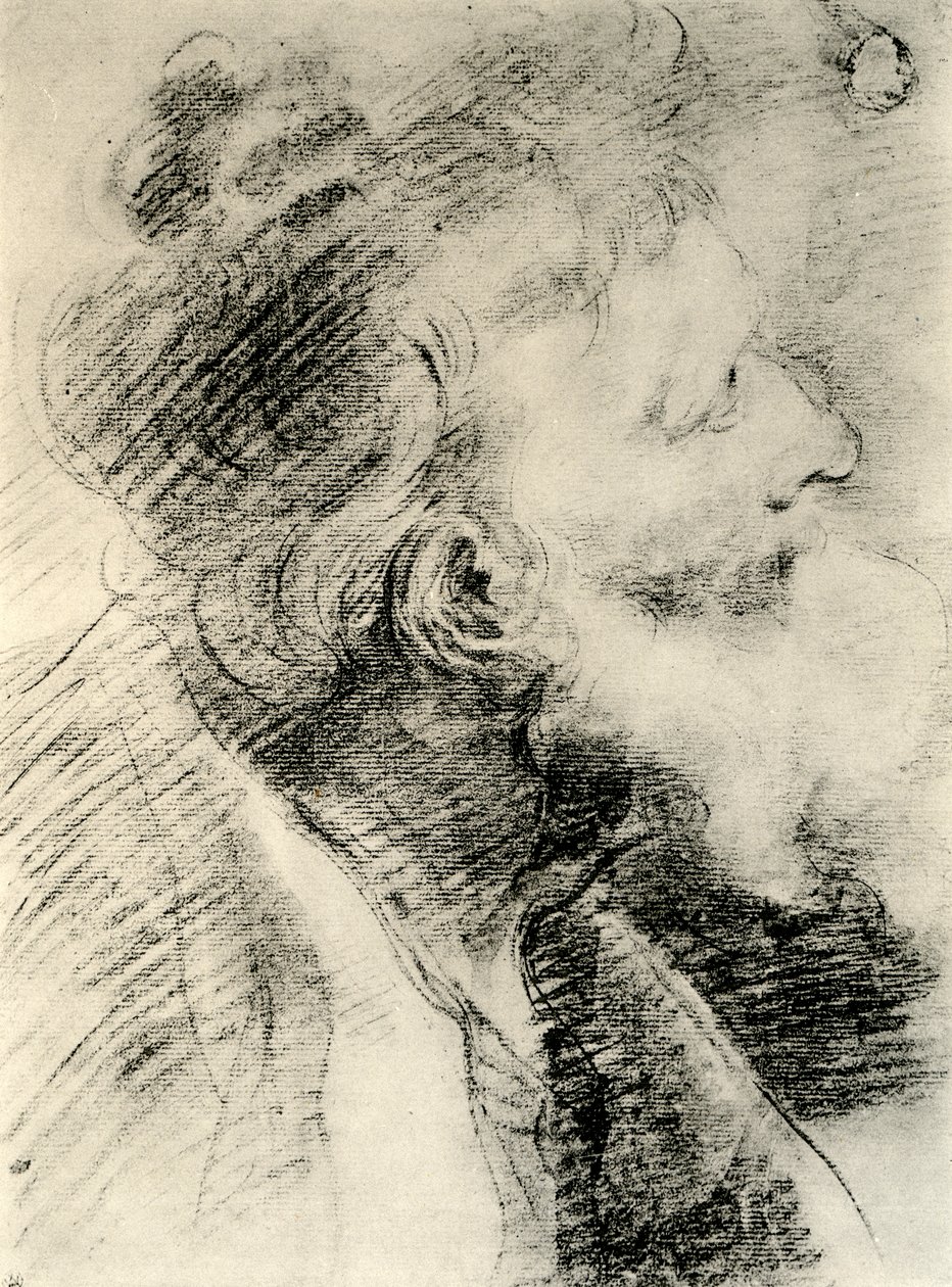 Estudo para a cabeça de um homem velho, 1913. de Peter Paul Rubens