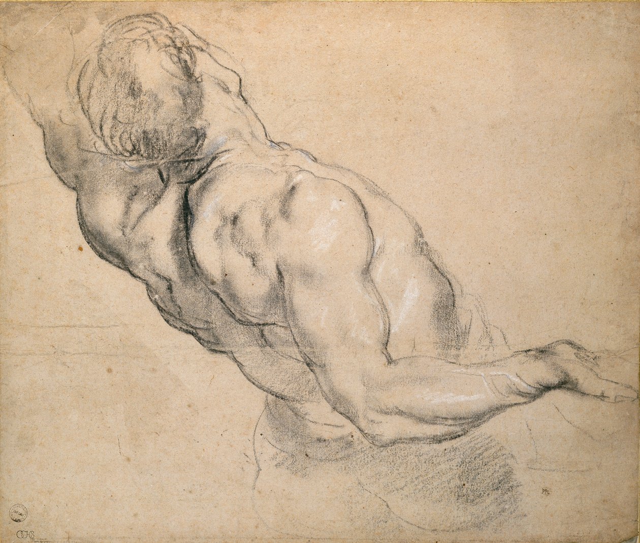 Estudo de um tronco masculino nu, 1600-1640 de Peter Paul Rubens