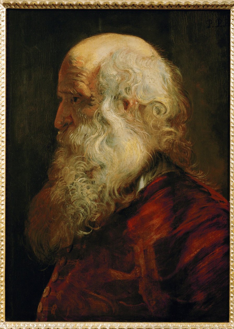 Estudo de um homem velho, c.1610 (pintura sobre madeira de carvalho) de Peter Paul Rubens