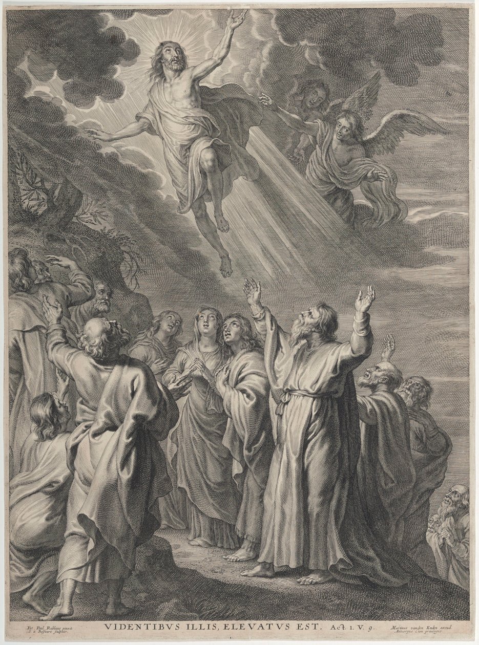 A Ascensão de Peter Paul Rubens