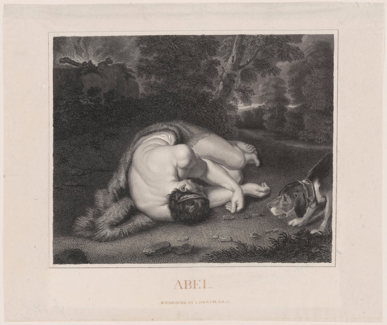A Morte de Abel de Peter Paul Rubens