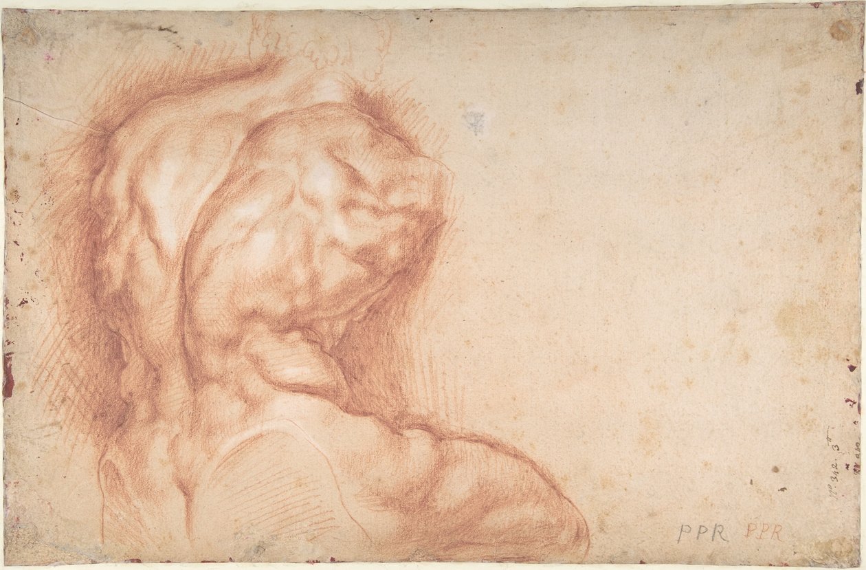 A Virgem adorada por santos (recto); Estudo do Torso do Belvedere (verso) de Peter Paul Rubens