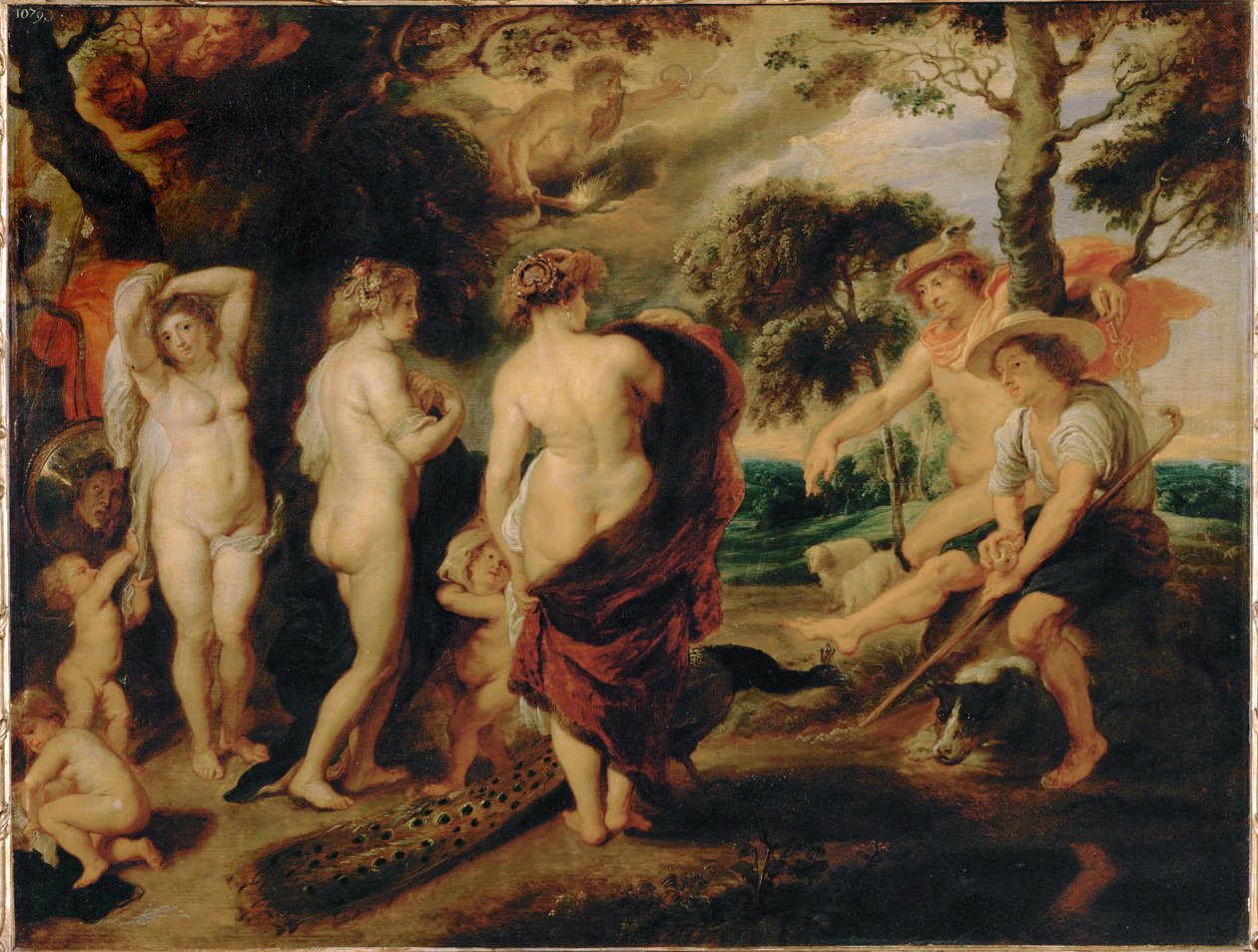 O julgamento de Paris (pintura sobre madeira de carvalho) de Peter Paul Rubens