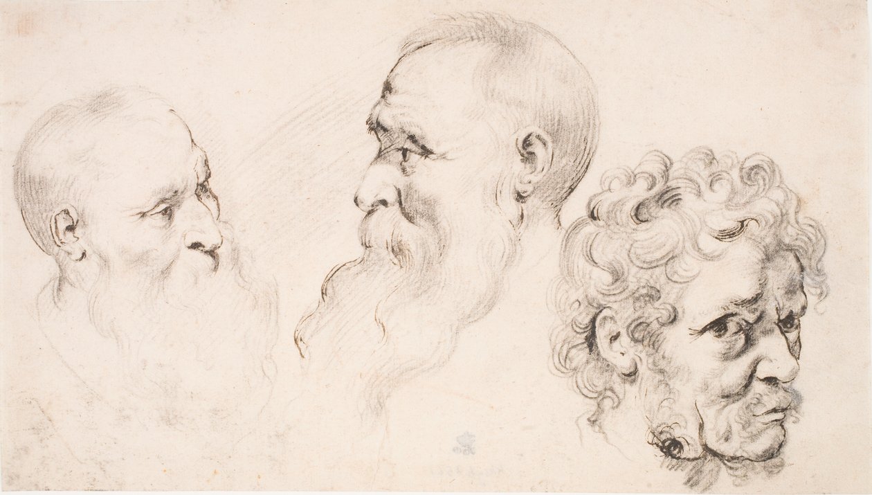 Três cabeças de homens de Peter Paul Rubens