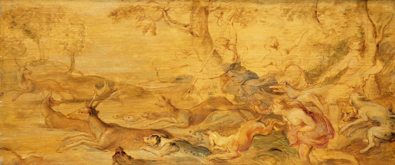 Imagem desconhecida de Peter Paul Rubens