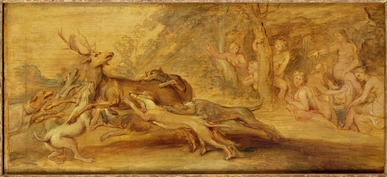Imagem desconhecida de Peter Paul Rubens