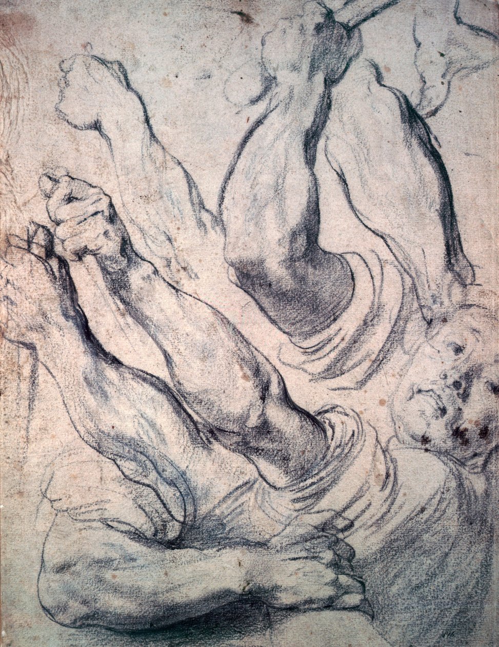 Imagem desconhecida de Peter Paul Rubens