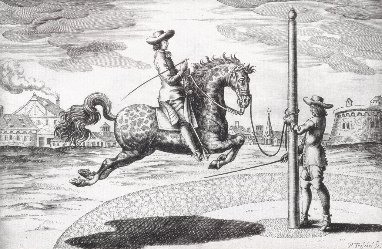 A Horse en Capriole de New Treatise para Breeding Horses escrito por Winters, Stuterey e Reit-Schul, gravado pelo artista, pub. Gravura 1672 de Peter Paul Troschel