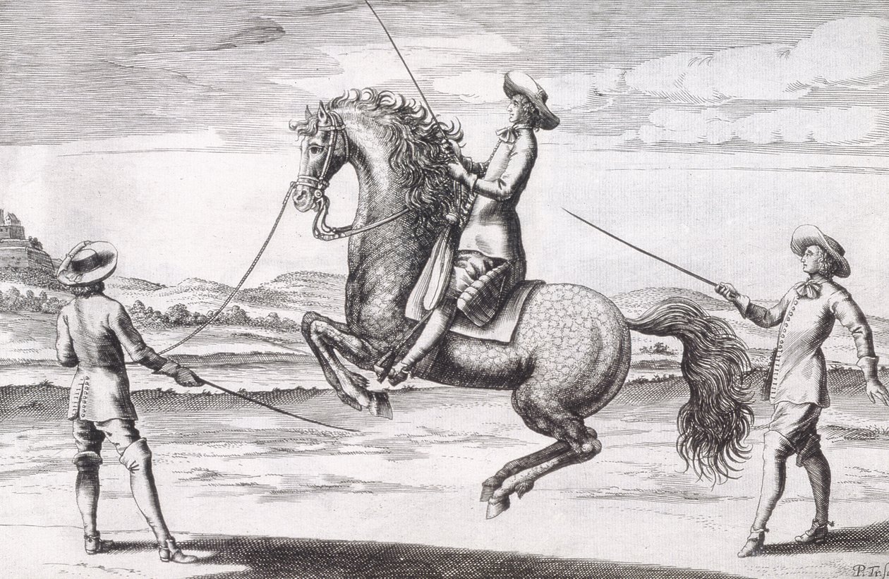 Ilustração de um en Croupade do cavalo do tratado novo para produzir os cavalos escritos por invernos, por Stuterey e por Reit-Schul, bar. 1672 de Peter Paul Troschel