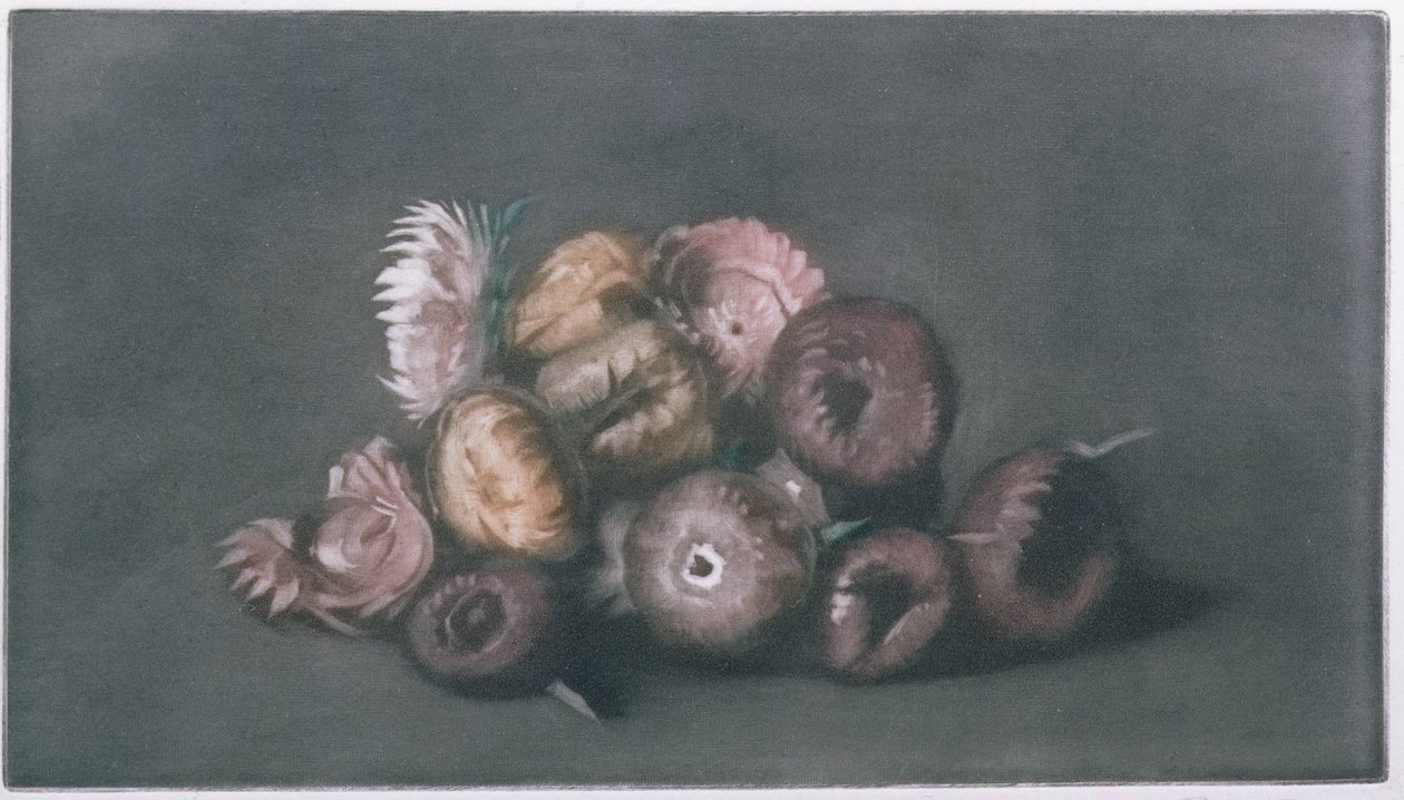 Natureza Morta de Flores Secas (mezzotint colorido) de Peter Vilhelm Ilsted