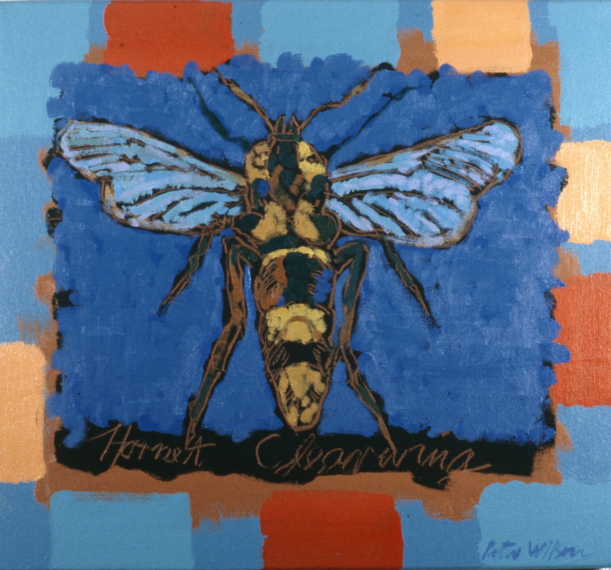 Hornet Clearwing de Peter Wilson