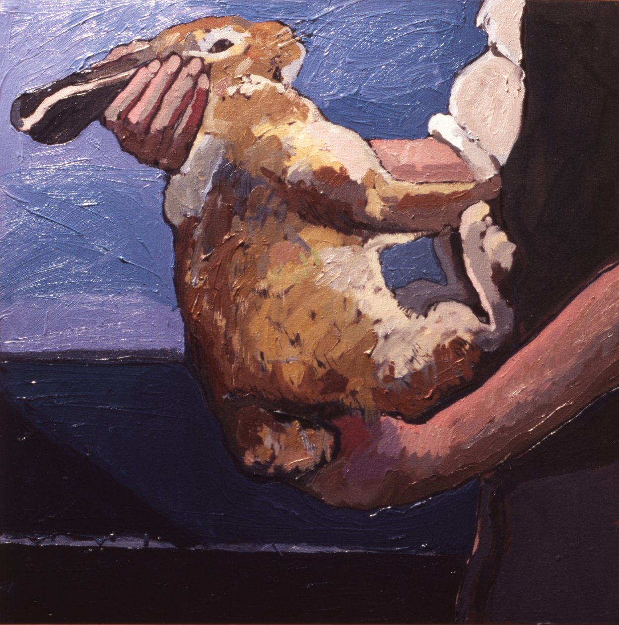 Os coelhos tornam-se rapidamente domesticados se forem tratados corretamente de Peter Wilson