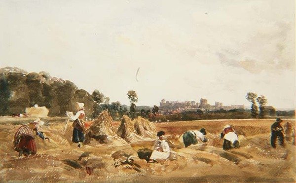 PD.129-1950 Cornfield, Windsor de Peter de Wint