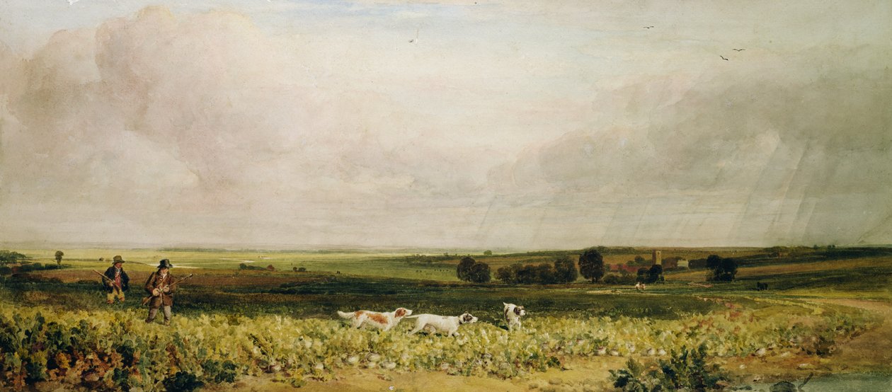 Tiro de perdiz de Peter de Wint