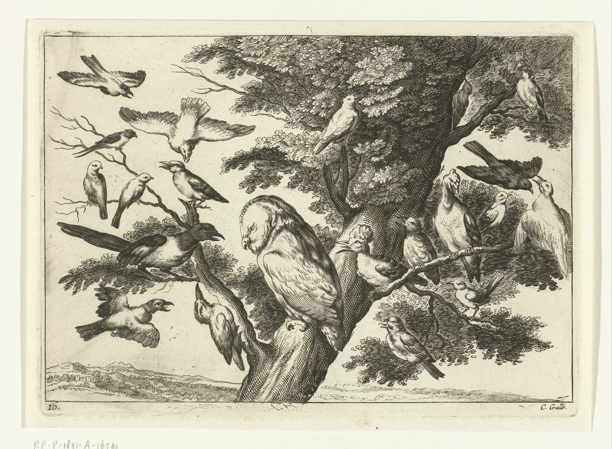 Pássaros numa árvore
Diversarum avium species (título da série)
Várias aves (título da série) de Peter van Liesebetten