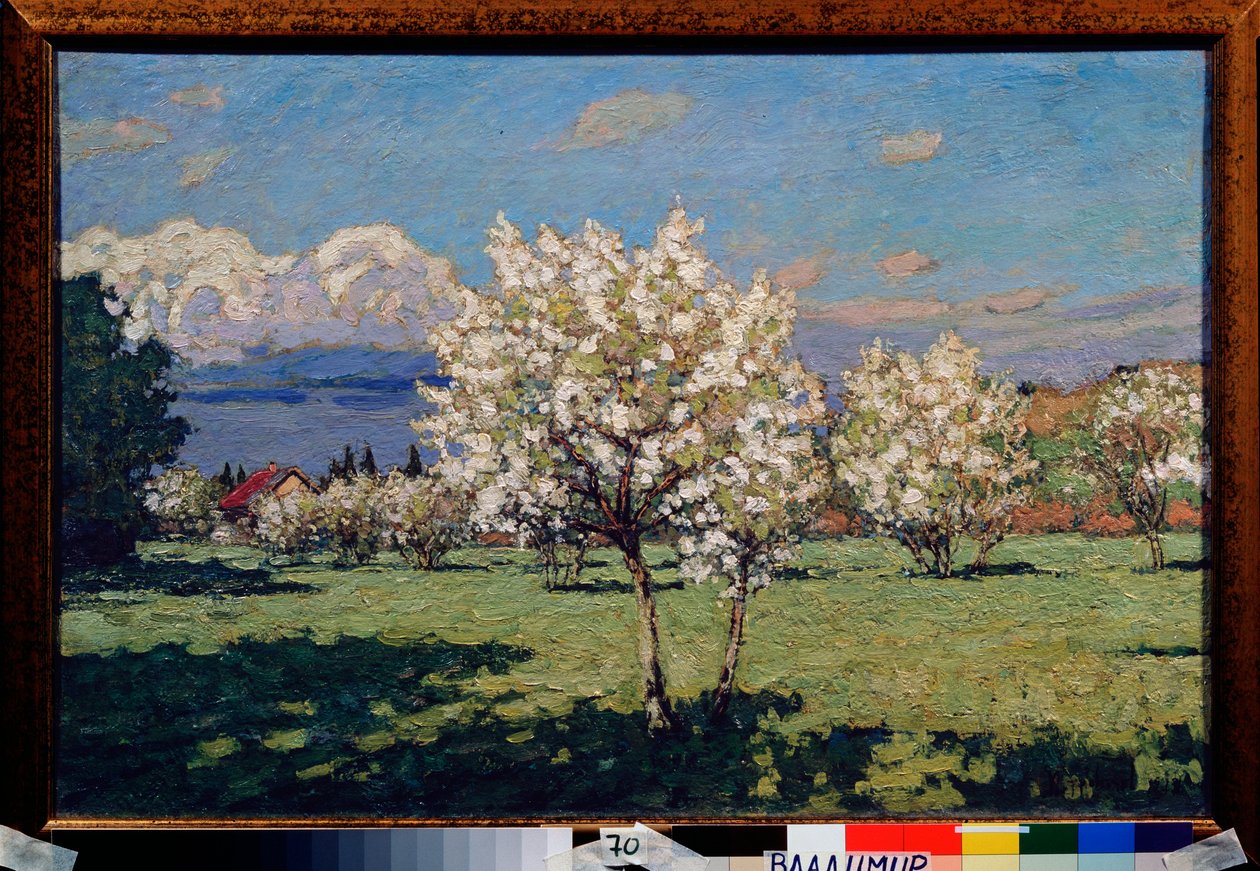 As cerejeiras desabrocham. Pintura de Pyotr Ivanovich Petrovichev (Pyotr Petrovitchev) (1874-1947), óleo sobre tela de Petr Ivanovic Petrovichev