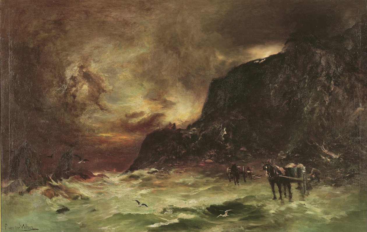 Tempestade em Wellington Heads de Petrus van der Velden