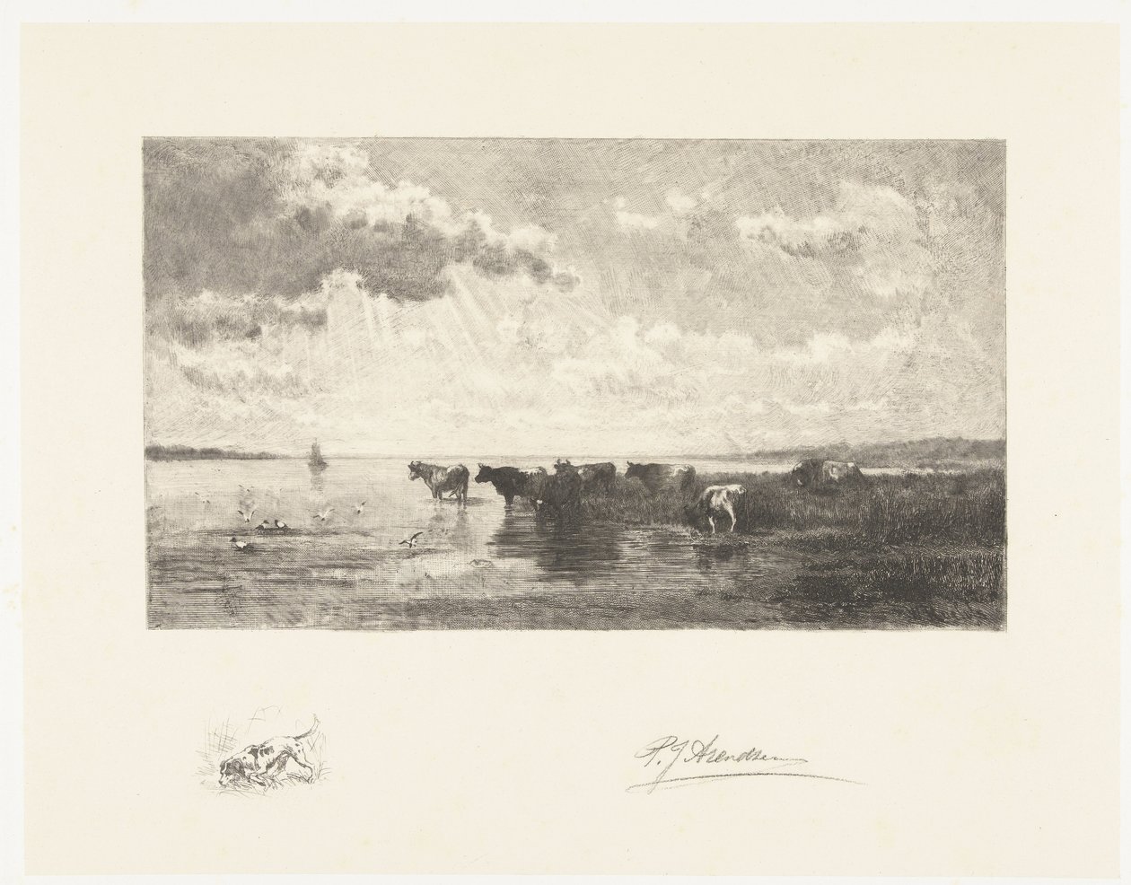 Gado por uma poça de Petrus Johannes Arendzen