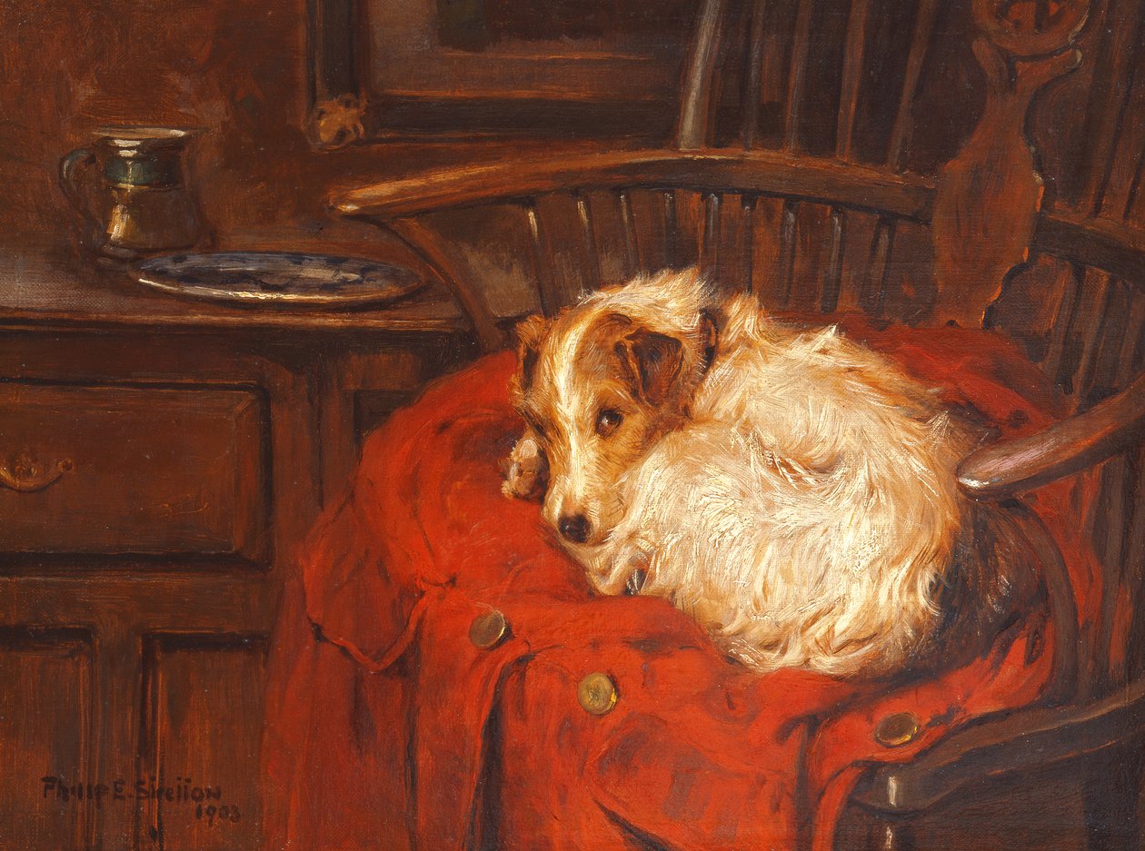 Uma cadeira favorita, 1903 de Philip Eustace Stretton