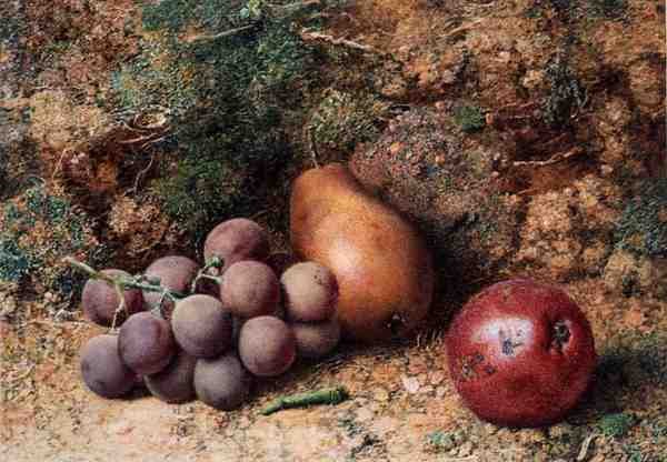 Uvas, Maçã e Pêra num Banco Mossy (aguarela e guache em papel) de Philip Dolan