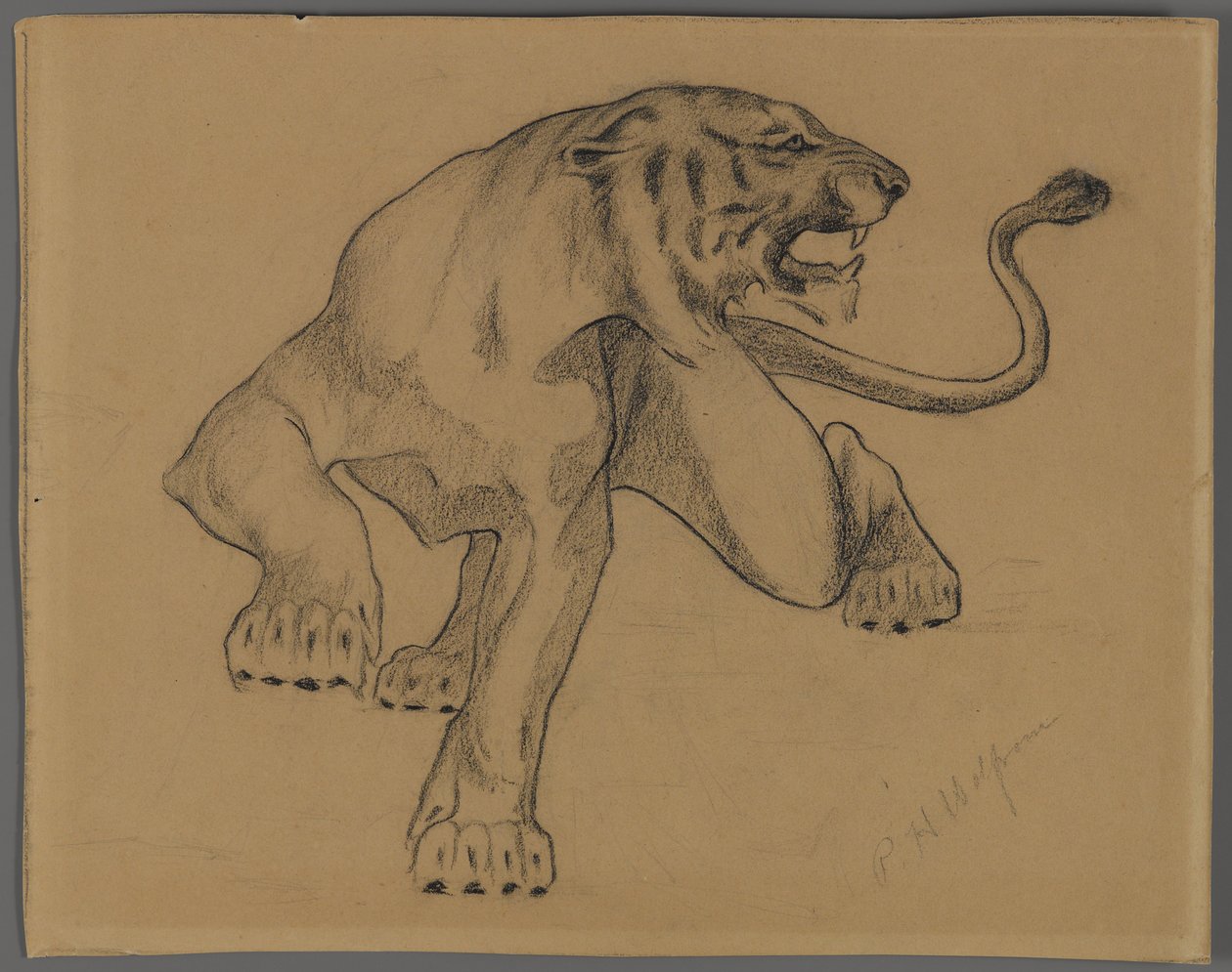 Tigre (contém giz de cera no papel) de Philip H. Wolfrom