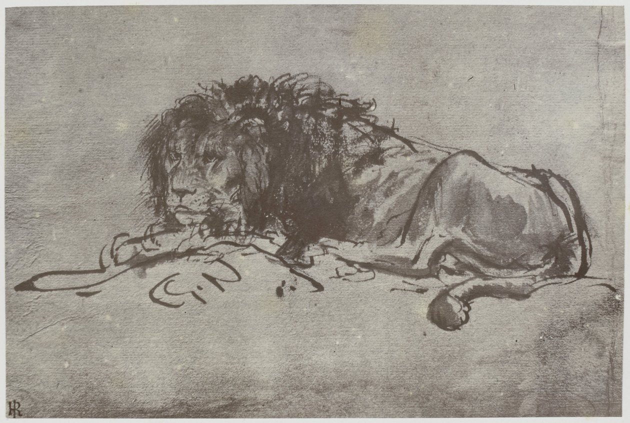 Rembrandt, Um Leão de Philip Henry Delamotte