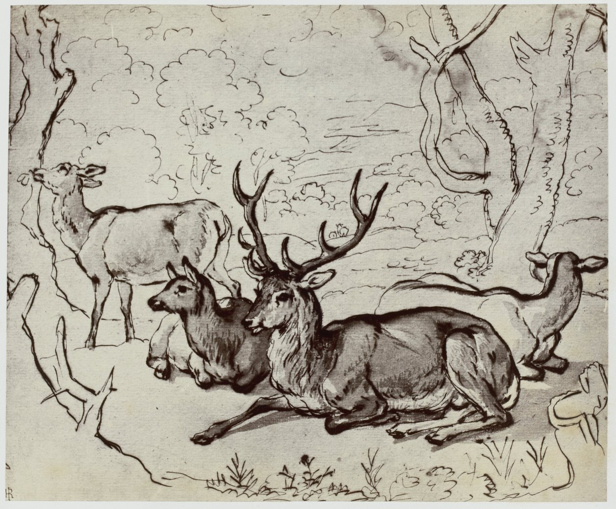 Cavaleiro, um cervo de Philip Henry Delamotte