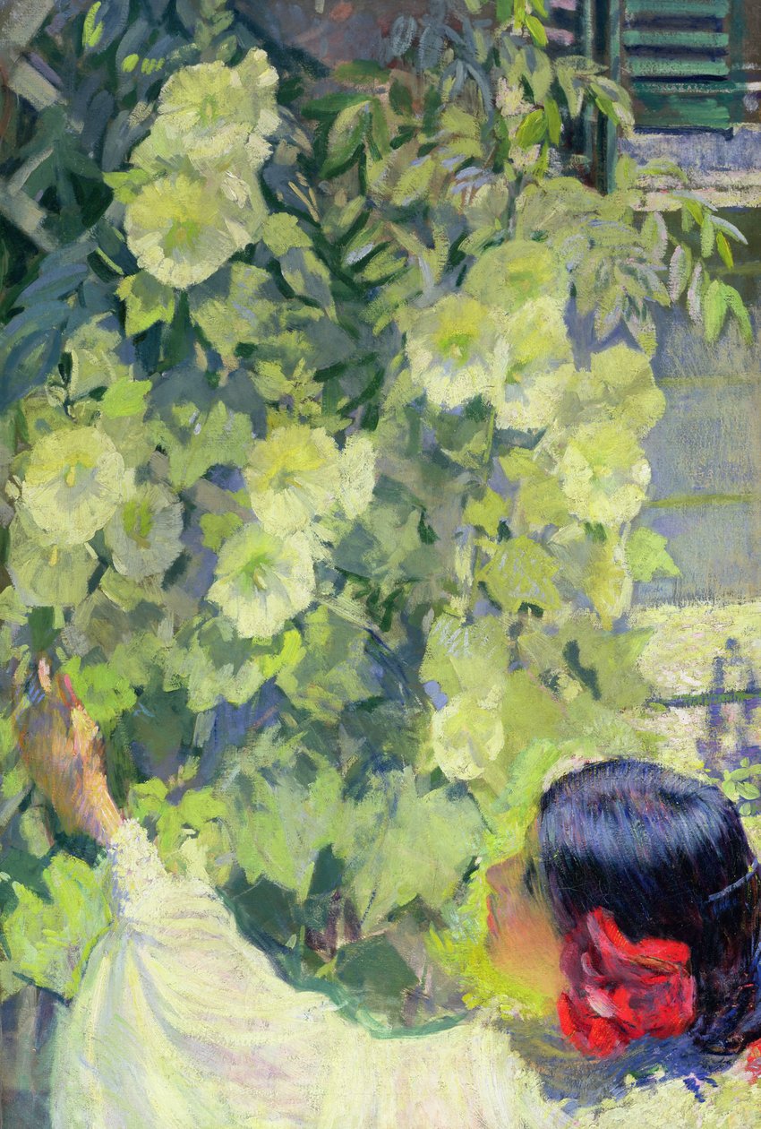Malvas-rosa, c.1923 (óleo sobre tela) de Philip Leslie Hale