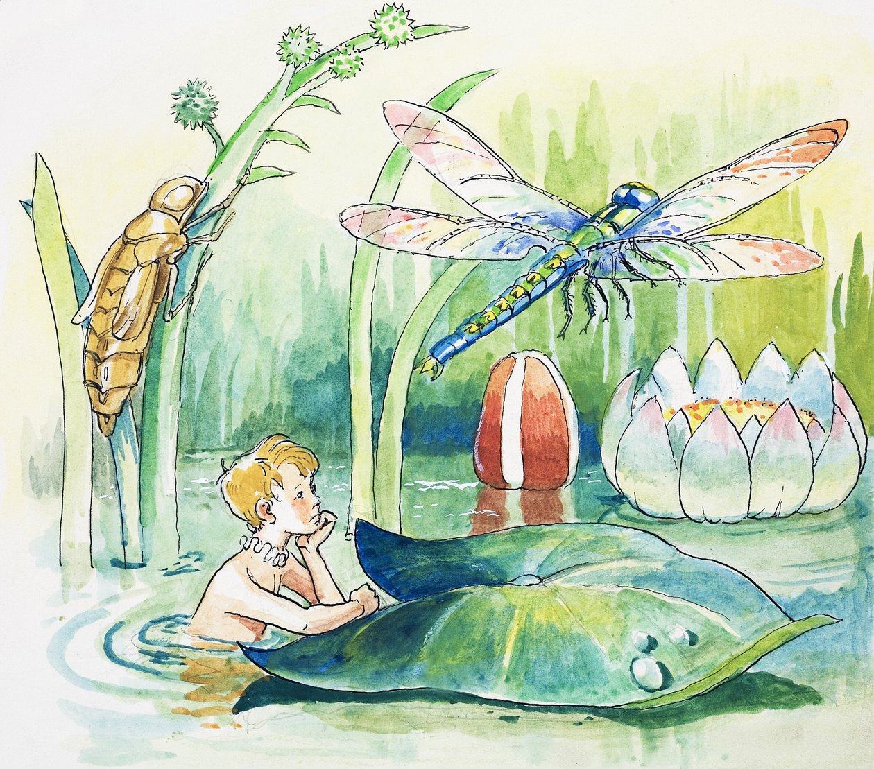 Libélula, ilustração de "The Water Babies" de Charles Kingsley de Philip Mendoza