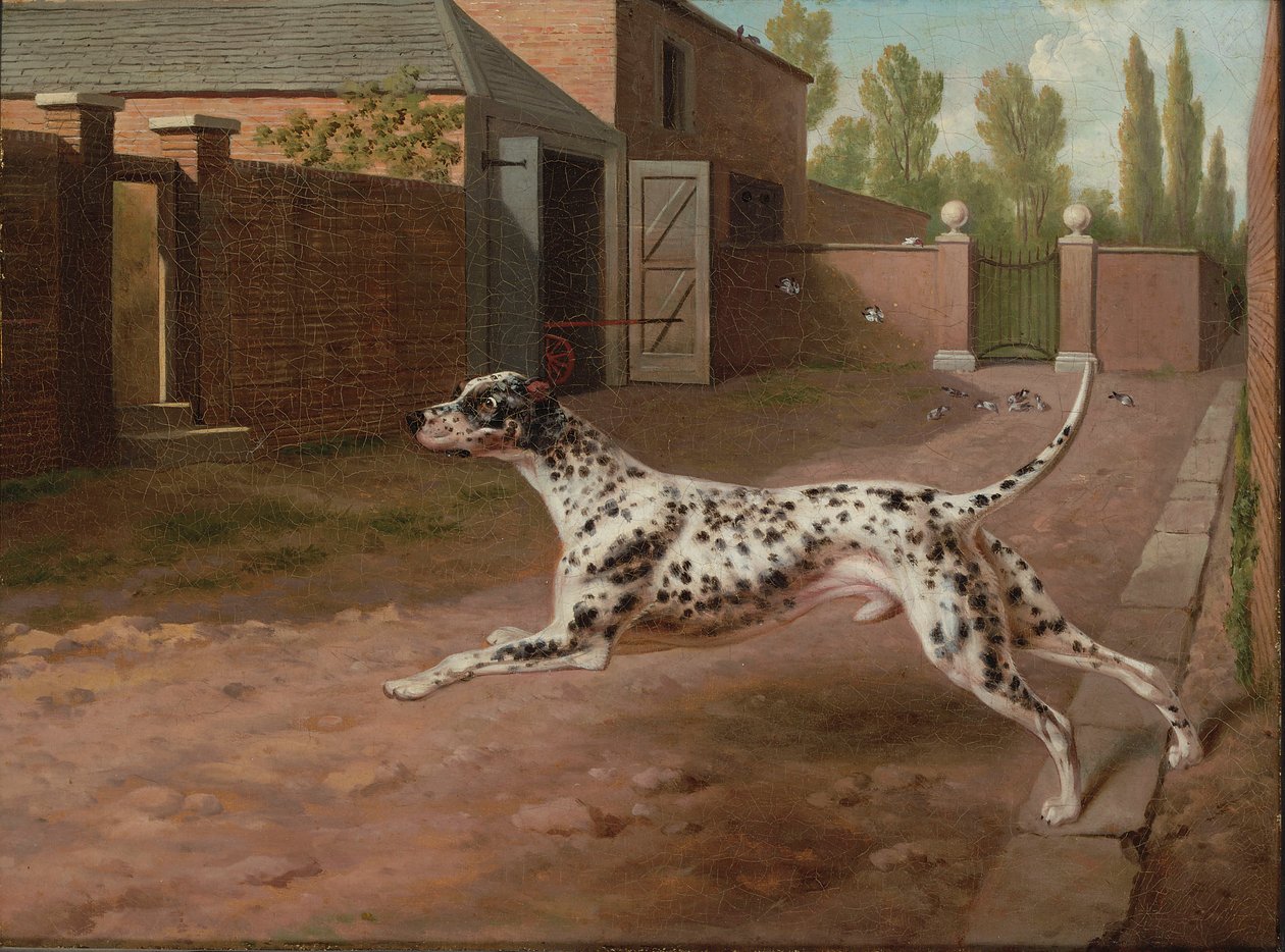 Um Dalmation correndo em um quintal estável de Philip Reinagle