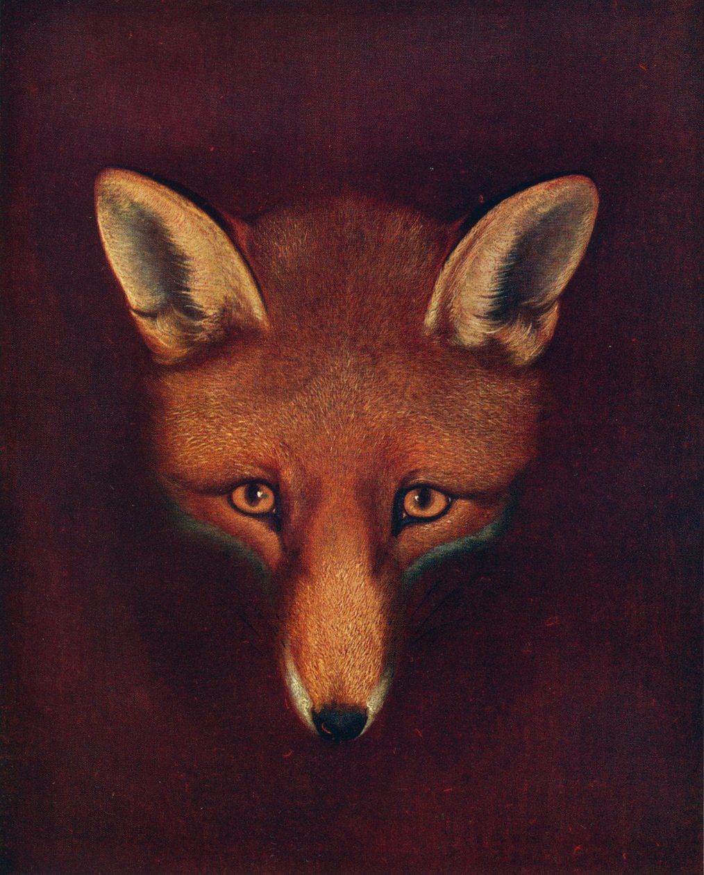 Renard the Fox, c1800, 1922 de Philip Reinagle