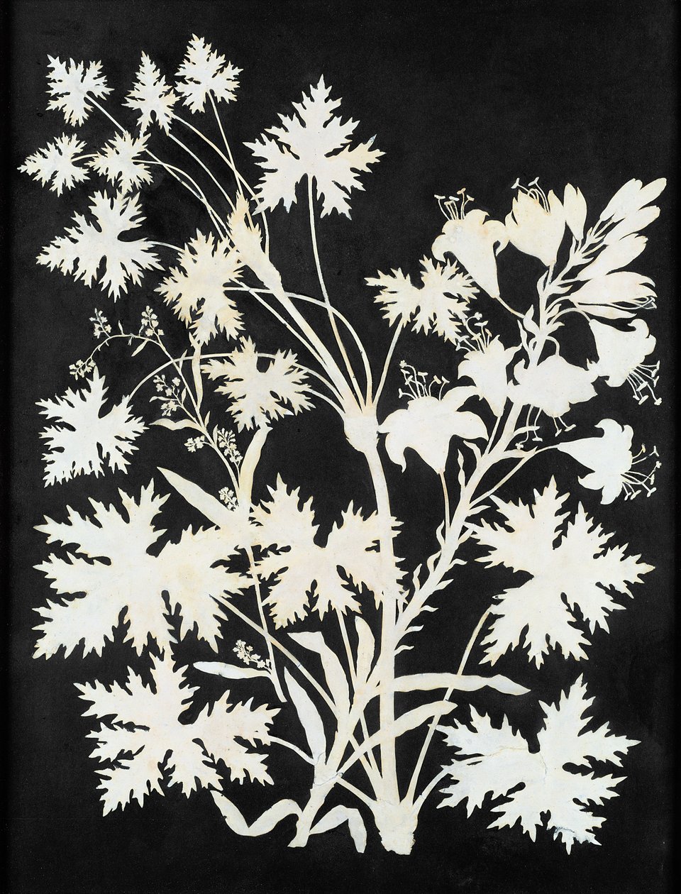 Flores em silhueta de Philipp Otto Runge