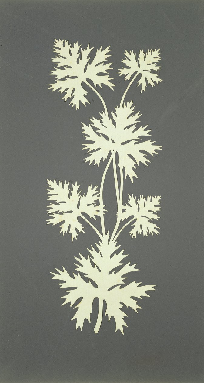 Folhas (colagem sobre papel) de Philipp Otto Runge