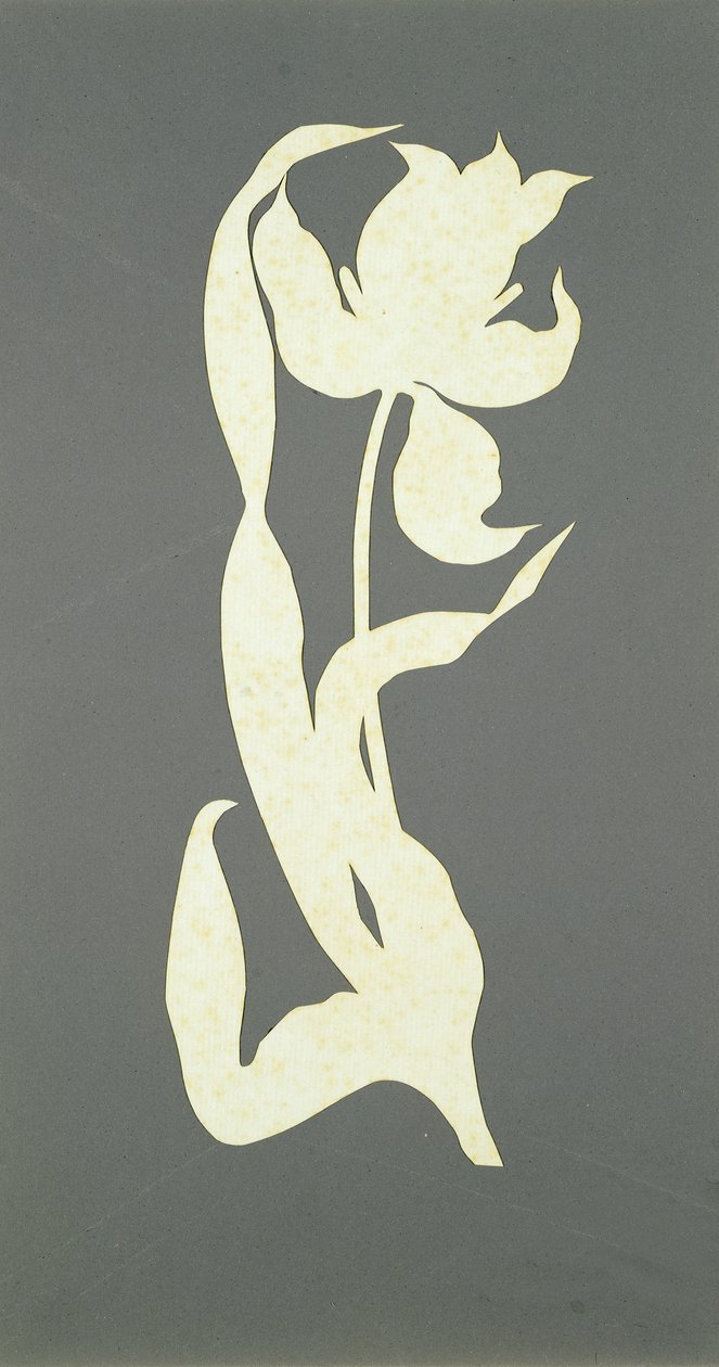 Tulipa (colagem sobre papel) de Philipp Otto Runge